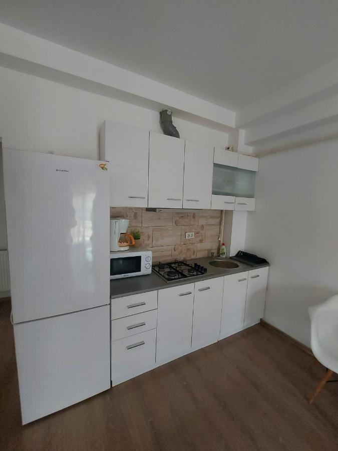 Jolie Art Apartment Brăila Exterior photo